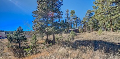 10811 Highway 73 Place, Conifer