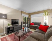 436 Seventh Street Unit 113, New Westminster image