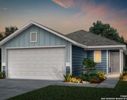 422 Forsythia, New Braunfels image