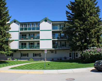 101 3rd Street Nw Unit 207, Mountain View County