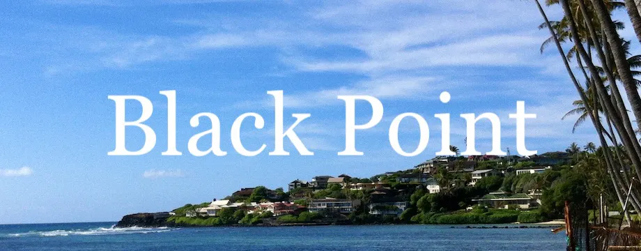 Black Point Market Report
