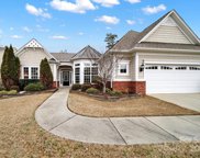 51246 Daffodil  Court, Fort Mill image