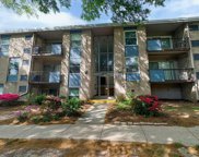 3845 Saint Barnabas Rd Unit #101, Suitland image