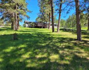 25352 Old Saw Mill Road, Custer image