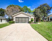 11427 Kingstree Court, Spring Hill image