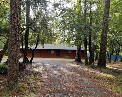 1260 North Fork, Gasquet