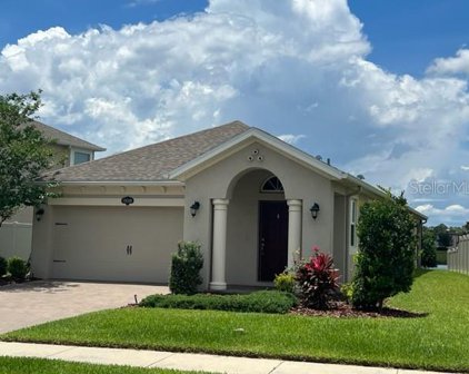 19349 Roseate Drive, Lutz