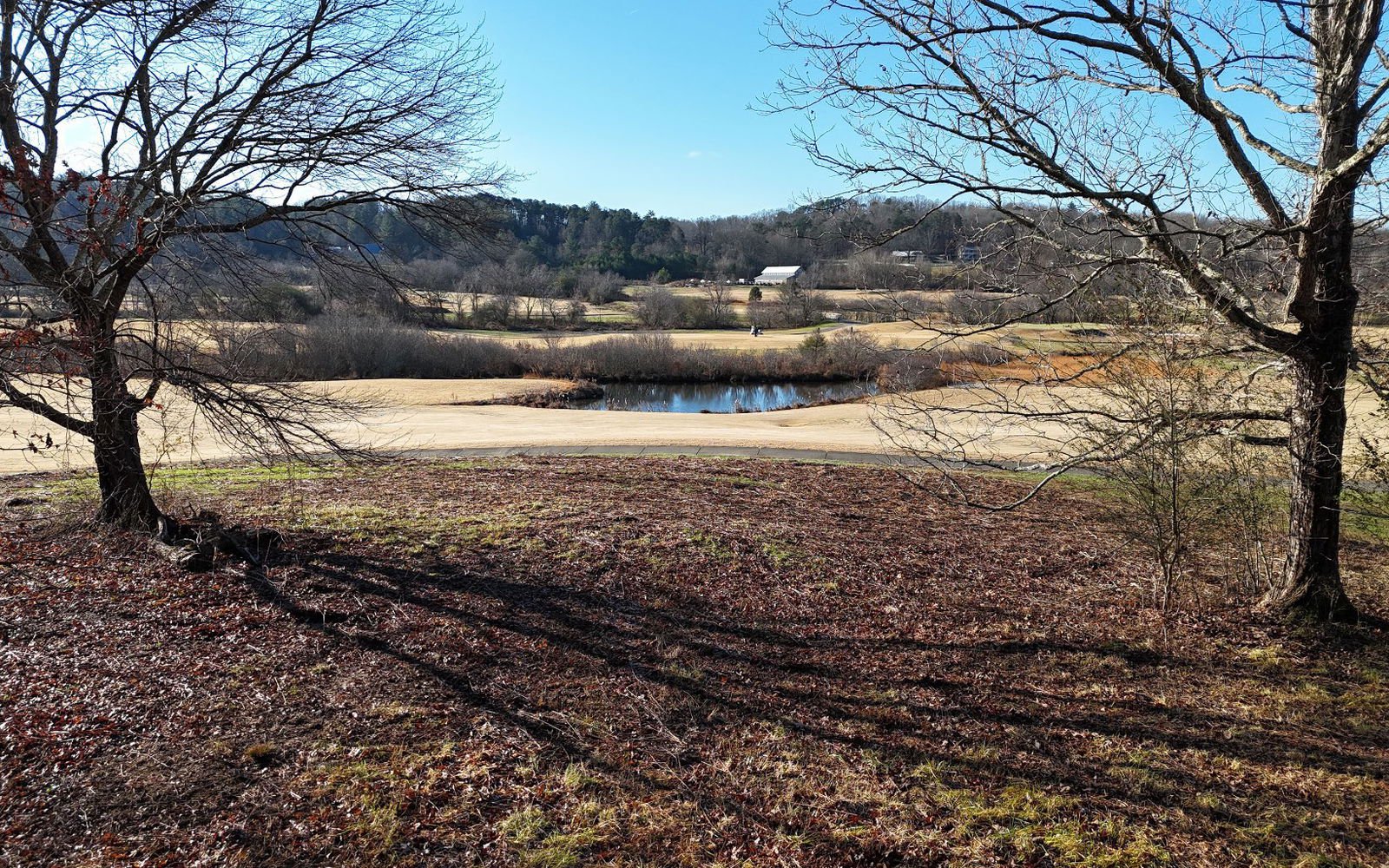 202 Owen Glen, Blairsville, 30512