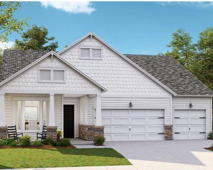 1116 Jackrabbit Drive, Summerville