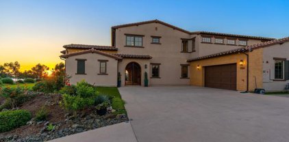 3562 Williams Terrace, Encinitas
