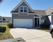 336 Corn Mill Way, Bluffton image