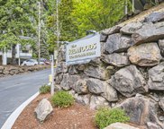 9494 Redmond-Woodinville Road Unit #B202, Redmond image