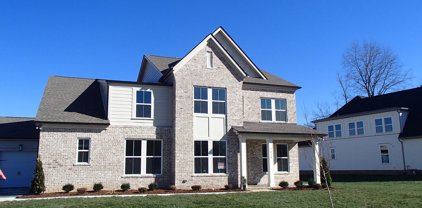 7414 Black Fox Drive, Fairview