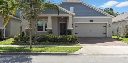 10240 Lovegrass Lane, Orlando