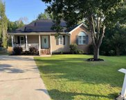 105 Green Fern Court, Lexington image