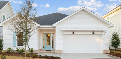 39 Suwannee Drive, Inlet Beach
