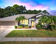 12040 Stone Crossing Circle, Tampa image