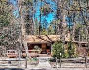 53250 Meadow Dr, Idyllwild image