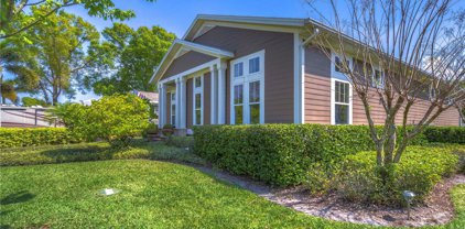 313 Fairfield Street, Oldsmar
