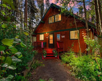 84 Blue Flag  Circle, Breckenridge