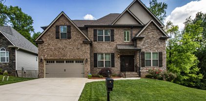 9860 Chesney Hills Lane, Knoxville