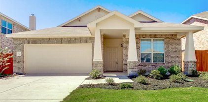 4719 Mustang Run, Rosenberg
