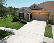 4247 Angelica Loop, Zephyrhills image