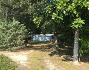 18201 Beale Place Drive, Isle of Wight - South image