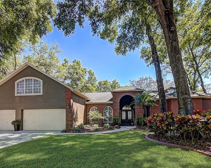 2562 Regal River Road, Valrico