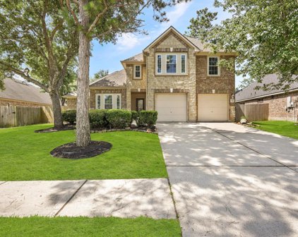 18419 S Roaring River Court, Humble