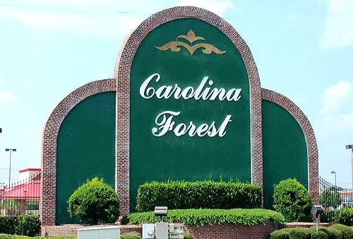 Carolina Forest Homes