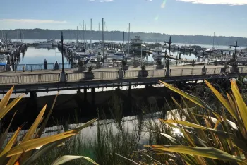 harborside bremerton