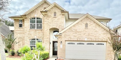 1106 Ancrum Hill Lane, Sugar Land