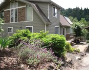 385 CHINKAPIN CT, Roseburg image