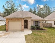 20360 Helenbirg  Road, Covington image