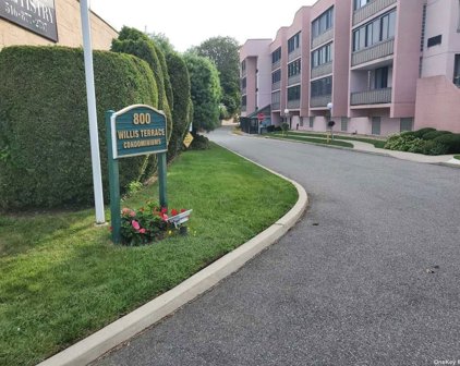 800 Willis Avenue Unit #316, Albertson