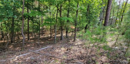 17307 Green Hill  Road, Charlotte