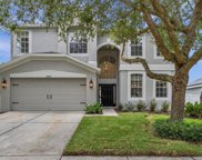 30622 Annadale Drive, Wesley Chapel image