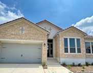 23222 Curvado, San Antonio image