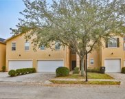 6232 Clifton Palms Drive, Tampa image
