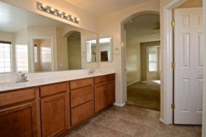 12385 W Hopi St Master Bathroom