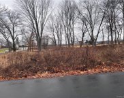 Perry Creek Road & Ivy Lane, Blooming Grove image