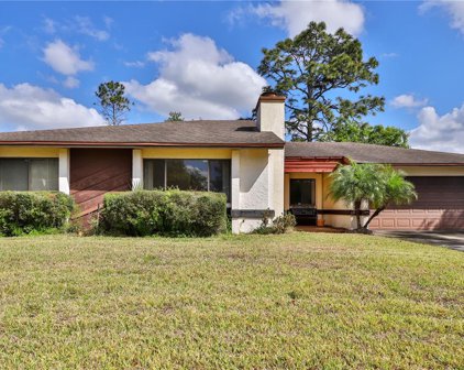 8219 Imber Street, Orlando