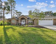 216 Birdiewood Court, Debary image