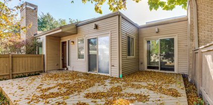 1338 Chardonnay Drive, Houston