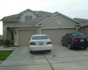18178 Sandy Pointe Drive, Tampa image