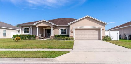 309 Sheppard Lake Court, Apopka