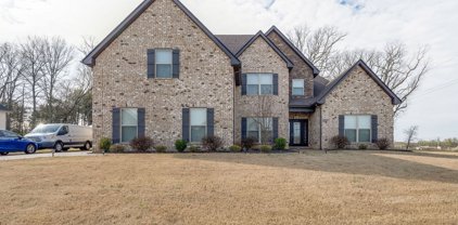 1225 Emmie Reece Dr, Smyrna