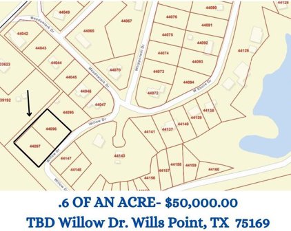 TBD Willow  Drive, Wills Point
