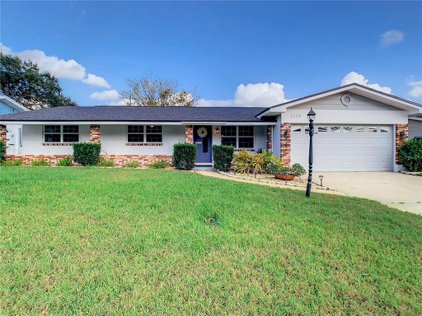 3119 Florene Drive, Orlando